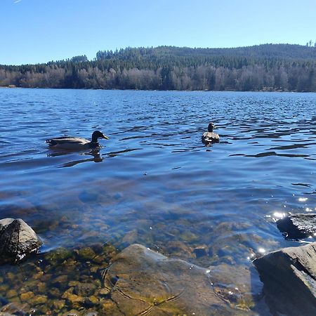 Апартаменты Lipno Pearl 4 Липно-над-Влтавой Экстерьер фото